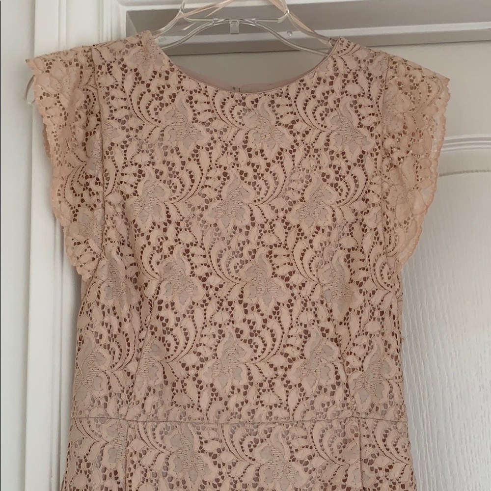 Zara Basic Nude Pink Lace Midi Dress View 4